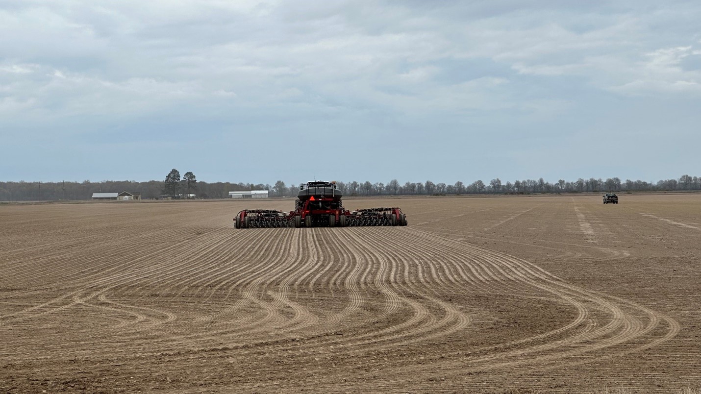 Arkansas Rice Update 32123